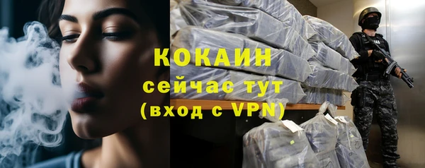 индика Пестово
