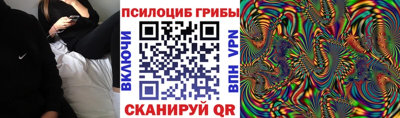 наркошоп  Новосибирск  ОМГ ОМГ ссылка  Галлюциногенные грибы мухоморы 
